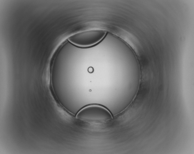 X0000111501132200907211025