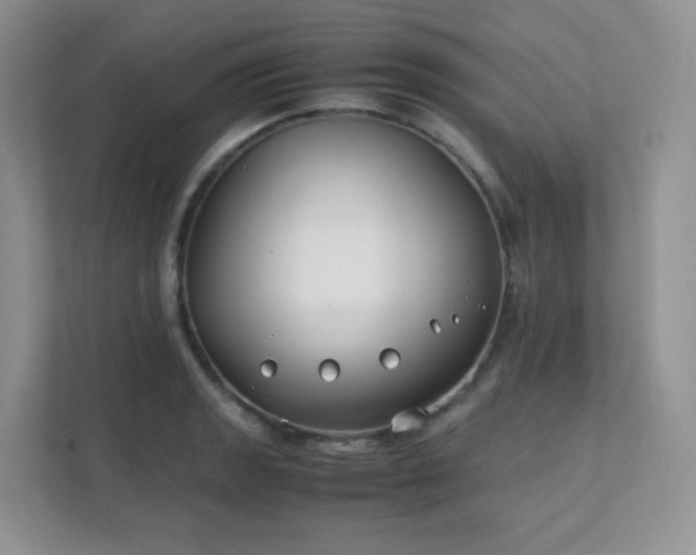 X0000111501133200907211025