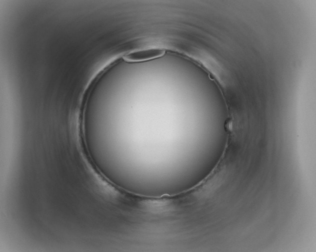 X0000111501134200907211025