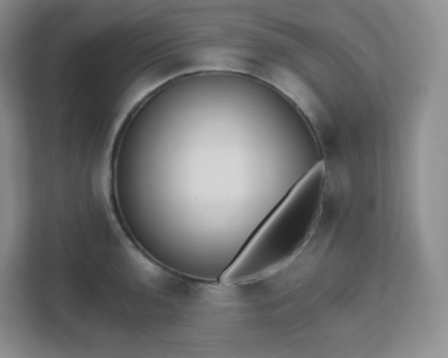 X0000111501136200907211025