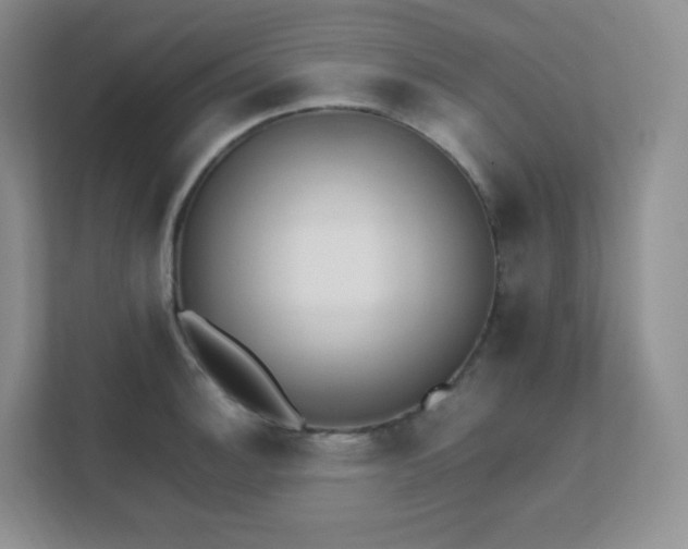 X0000111501140200907211025