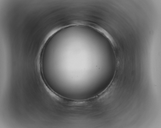 X0000111501143200907211025