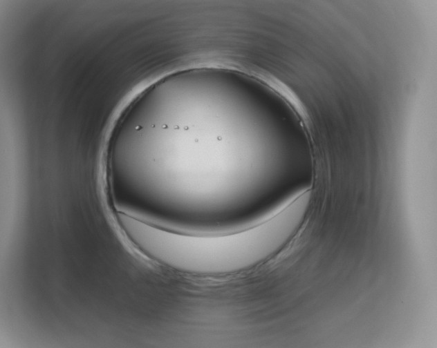 X0000111501144200907211025