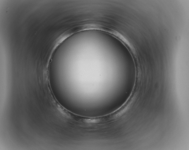 X0000111501145200907211025