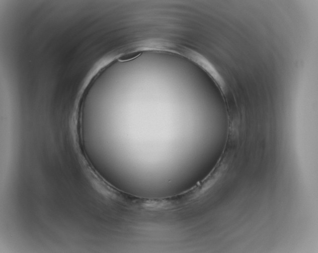 X0000111501146200907211025