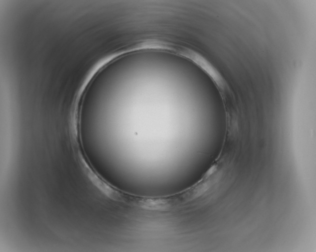 X0000111501148200907211025