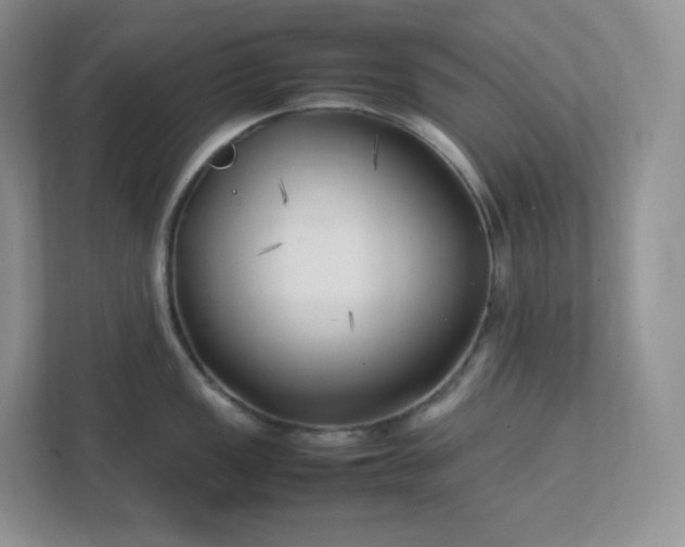 X0000111501149200907211025
