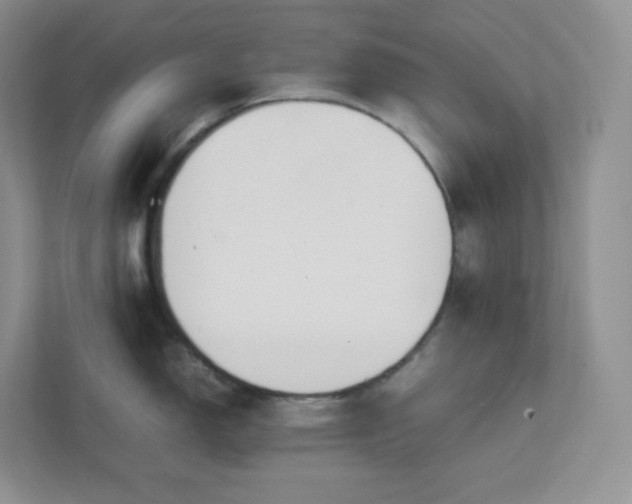 X0000111501150200907211025