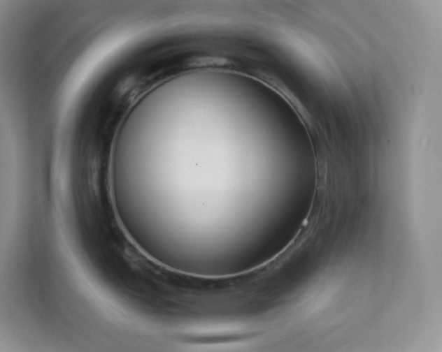 X0000111501151200907211025