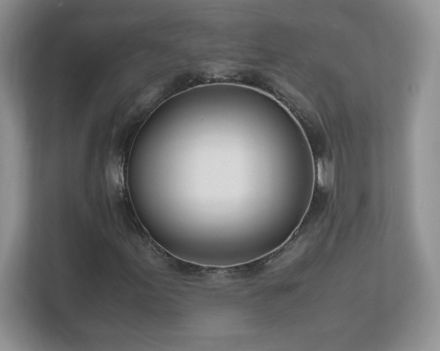 X0000111501155200907211024