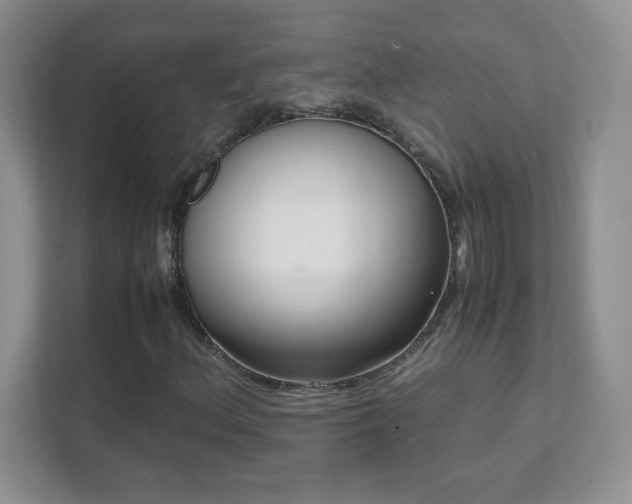 X0000111501156200907211024