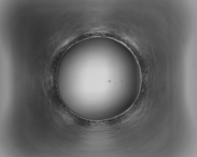 X0000111501159200907211024