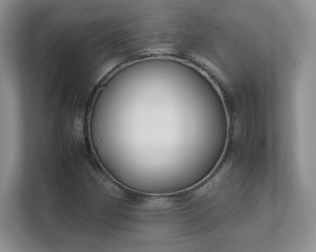 X0000111501162200907211024