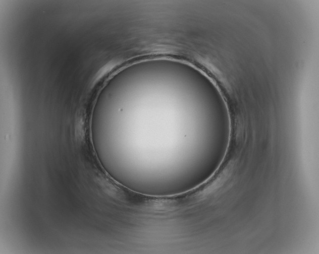 X0000111501163200907211024