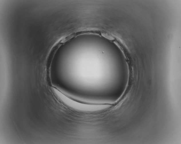 X0000111501165200907211024