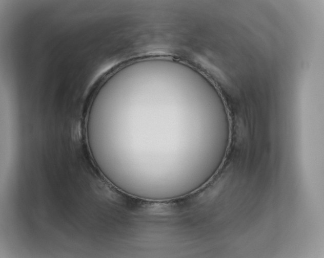 X0000111501166200907211024