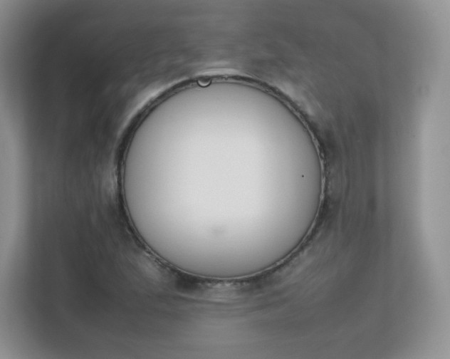 X0000111501167200907211024