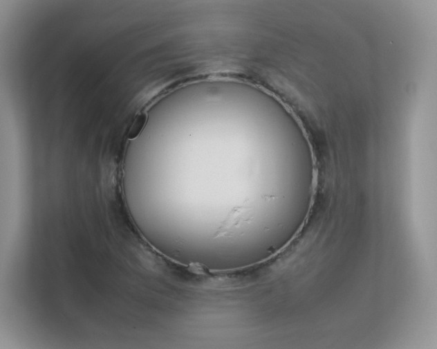 X0000111501169200907211024