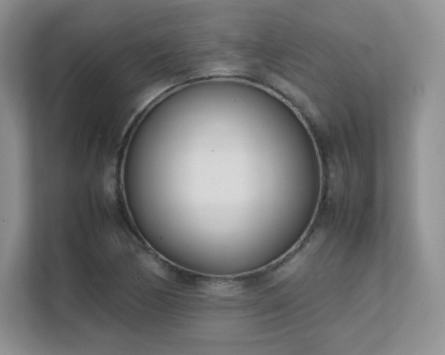 X0000111501170200907211024