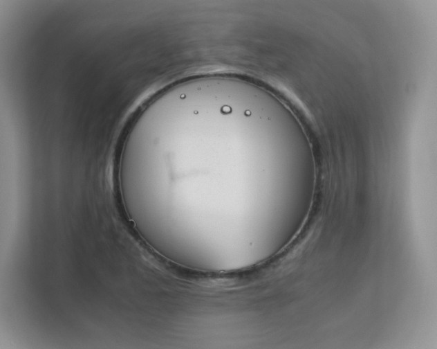 X0000111501173200907211024