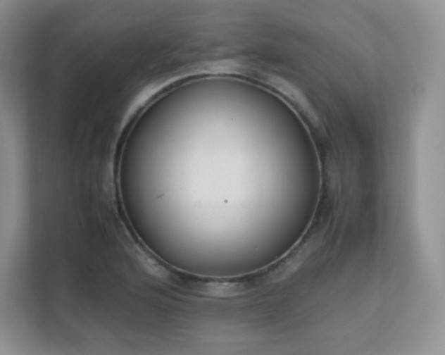 X0000111501176200907211024