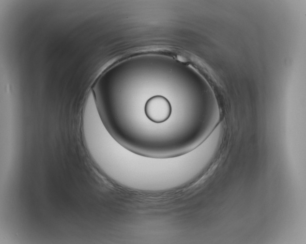 X0000111501177200907211024