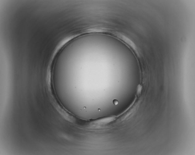 X0000111501179200907211024