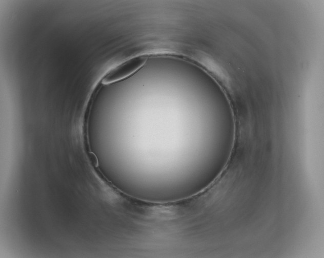 X0000111501181200907211024