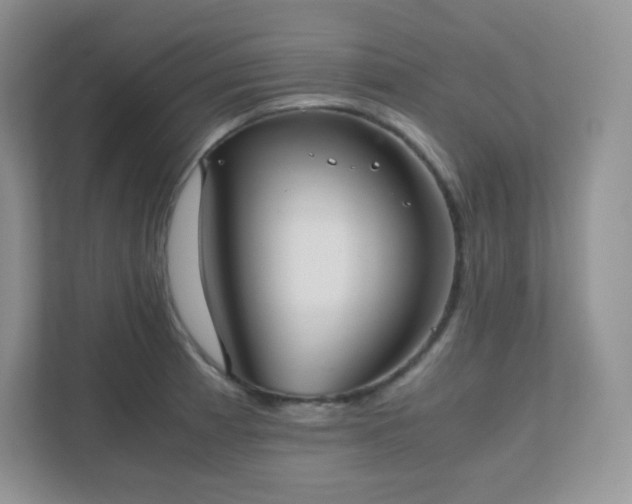 X0000111501185200907211024