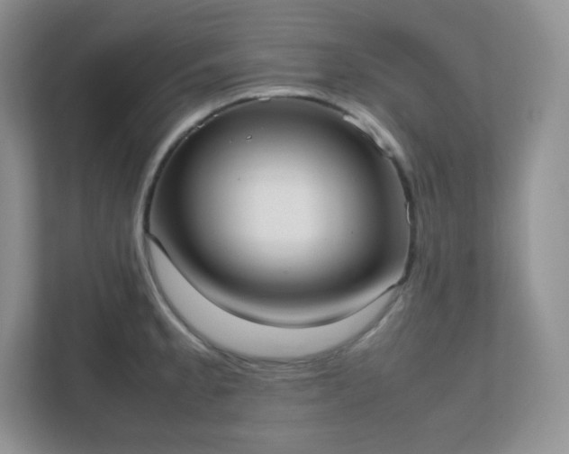 X0000111501189200907211024