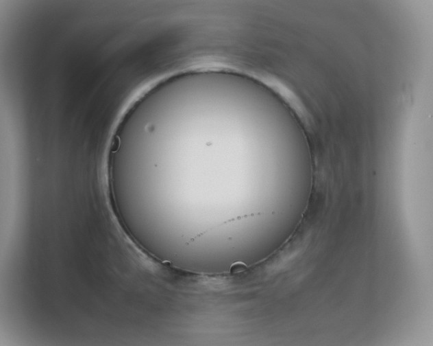 X0000111501191200907211024
