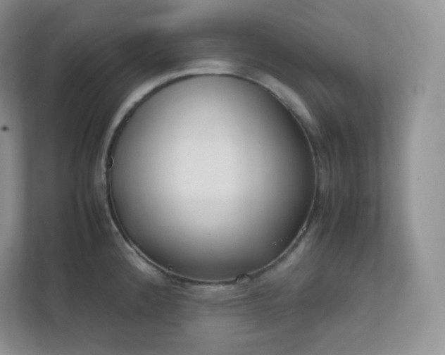 X0000111501192200907211024