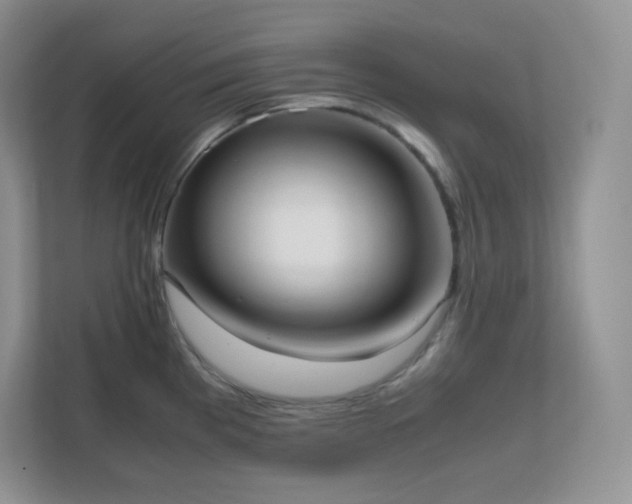 X0000111501193200907211024