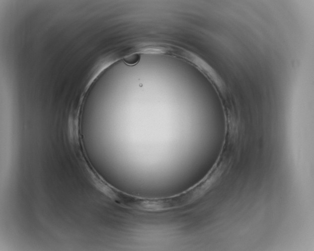 X0000111501194200907211024