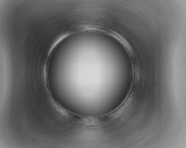 X0000111501198200907211024