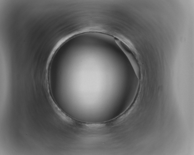 X0000111501200200907211024