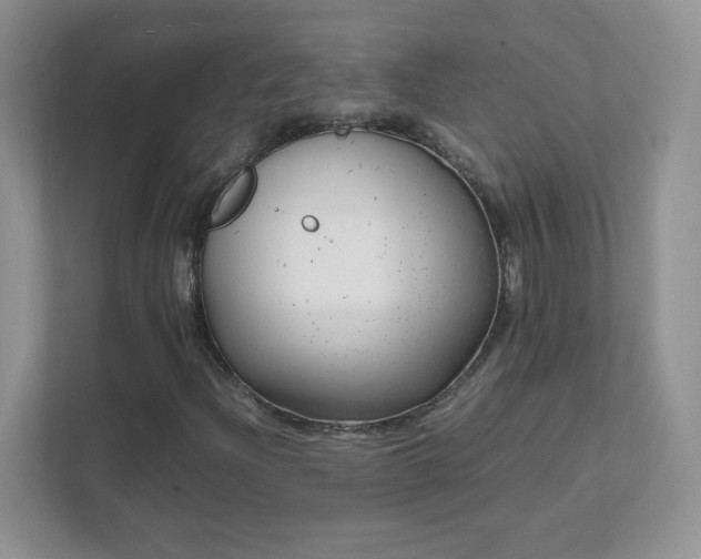 X0000111501204200907211023
