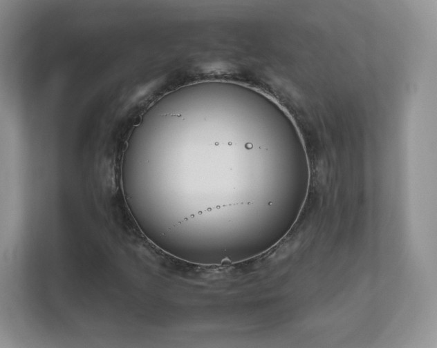 X0000111501205200907211023