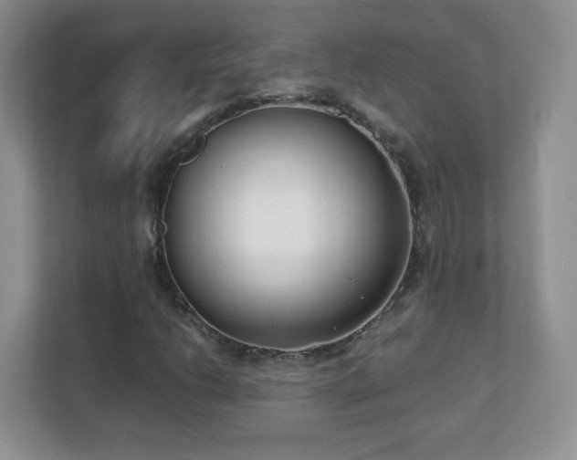 X0000111501206200907211023