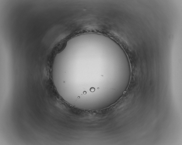 X0000111501207200907211023