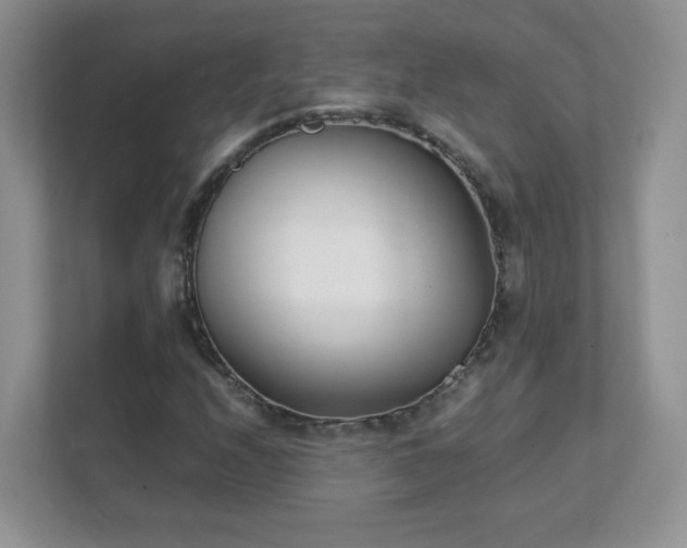 X0000111501208200907211023