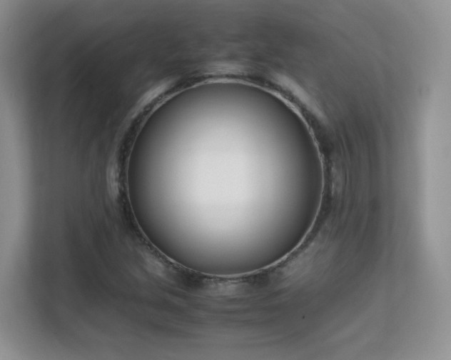 X0000111501213200907211023