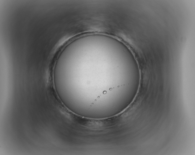 X0000111501215200907211023