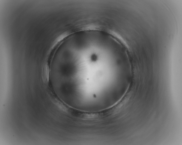 X0000111501219200907211023