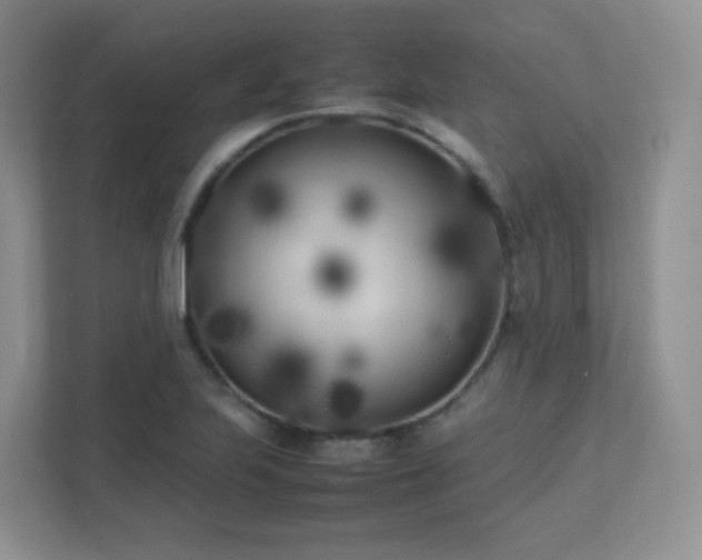 X0000111501223200907211023
