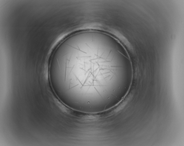 X0000111501224200907211023