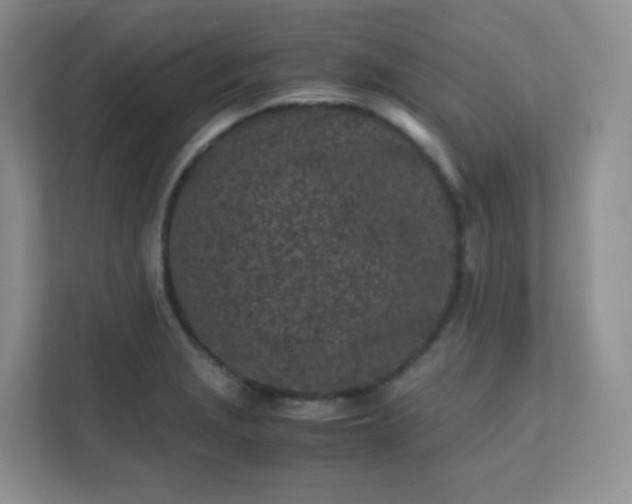 X0000111501229200907211023
