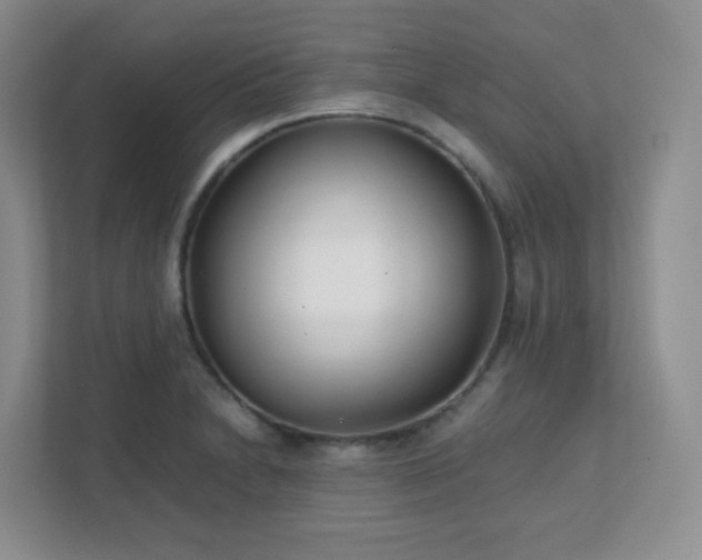 X0000111501230200907211023