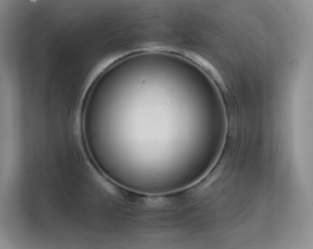 X0000111501231200907211023