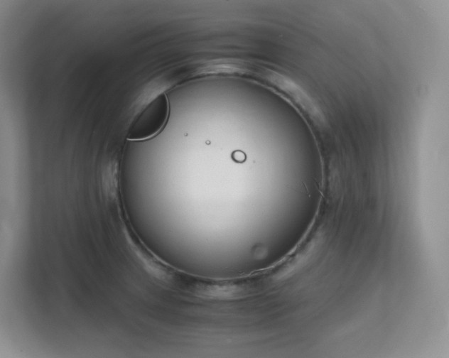 X0000111501233200907211023